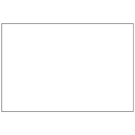 Bsc Preferred 2 x 3'' - White Block Out Labels BUY00021225